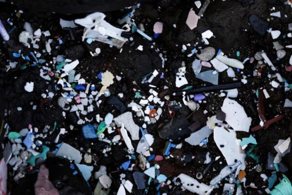 Okyanusun her katmanında mikroplastik bulundu