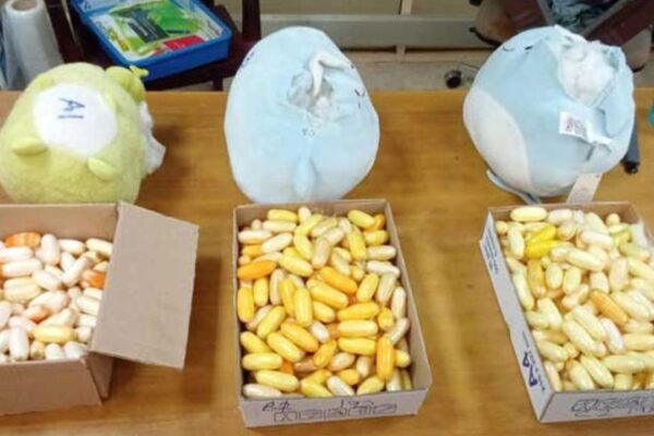 Peluş oyuncaklardan 10 kilo kokain çıktı